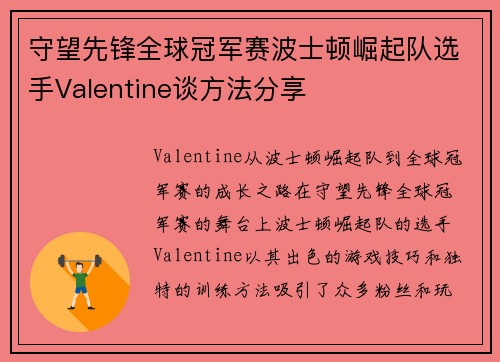 守望先锋全球冠军赛波士顿崛起队选手Valentine谈方法分享