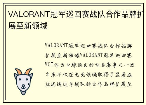 VALORANT冠军巡回赛战队合作品牌扩展至新领域