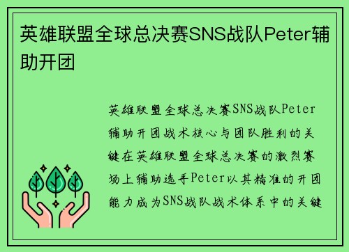 英雄联盟全球总决赛SNS战队Peter辅助开团