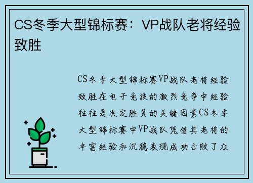 CS冬季大型锦标赛：VP战队老将经验致胜