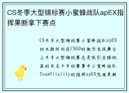 CS冬季大型锦标赛小蜜蜂战队apEX指挥果断拿下赛点